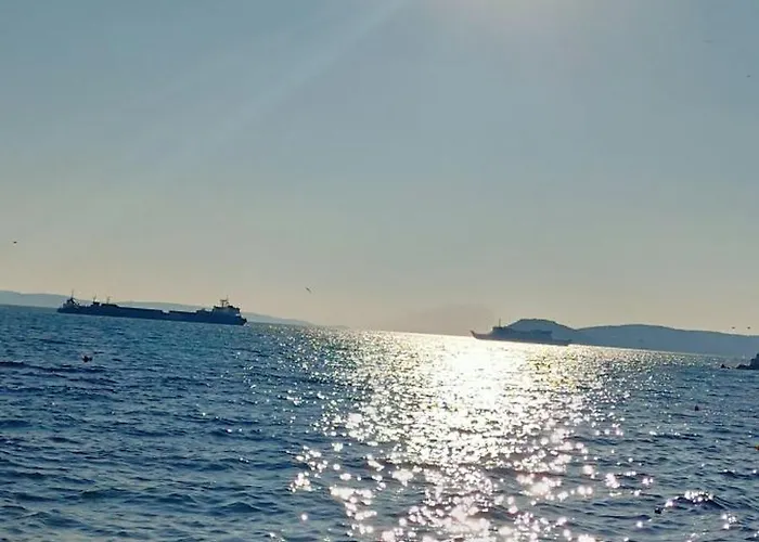 Zenta * Split