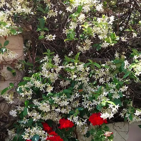 アパート Zenta スプリト