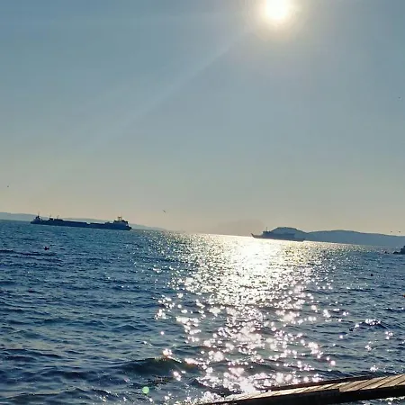 Zenta * Split